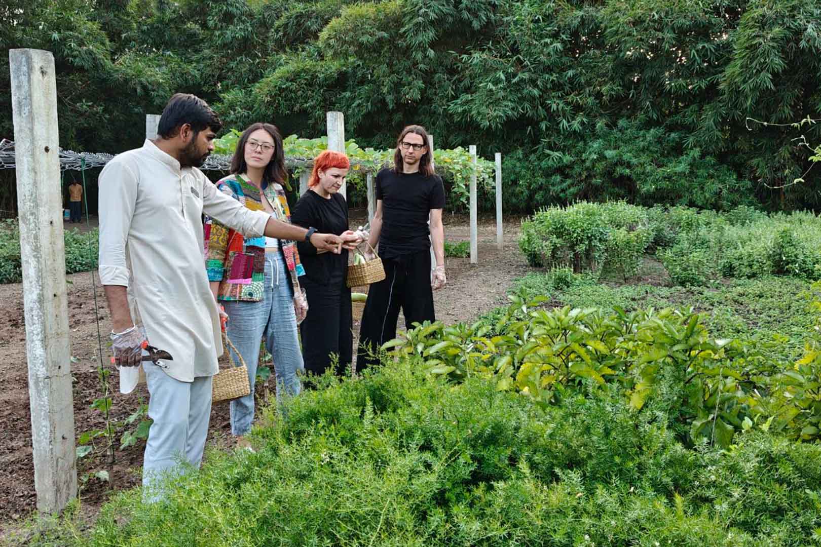 raga-svara-ekajiva-vegetable-medicinal-garden-2