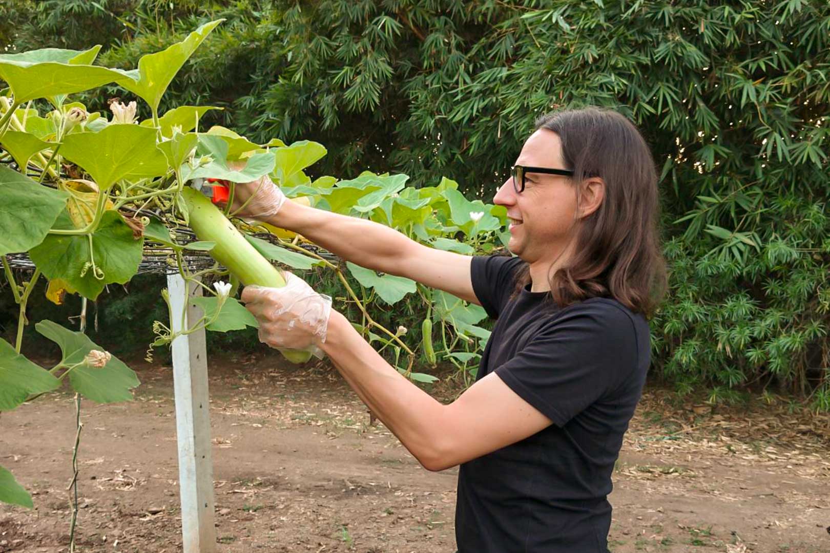 ekajiva-vegetable-medicinal-garden-6